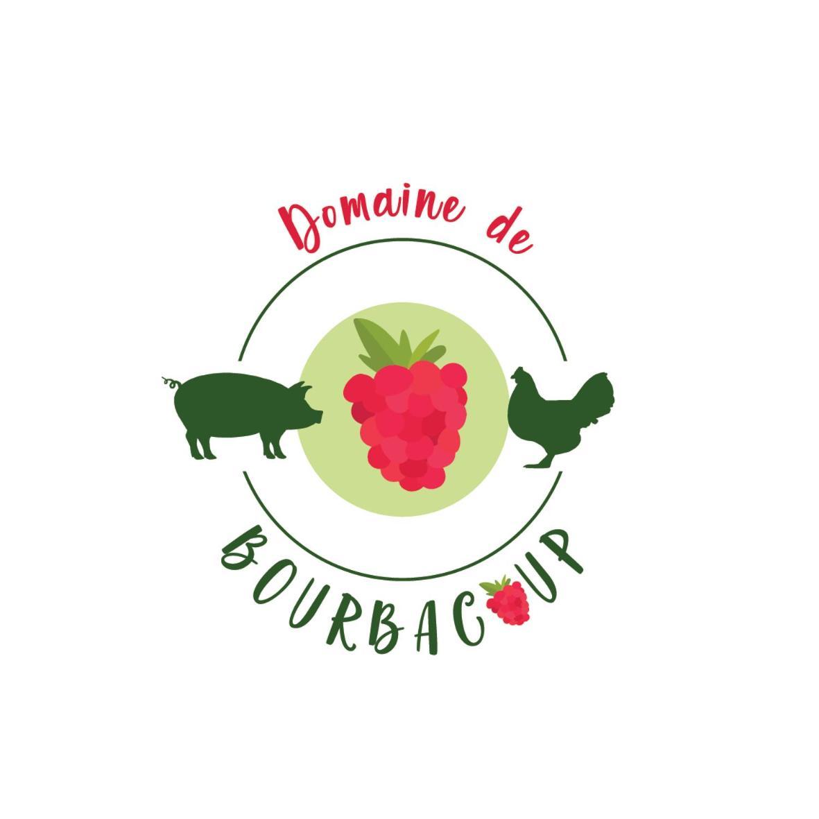 Domaine De Bourbacoup Apartment Tulle Luaran gambar